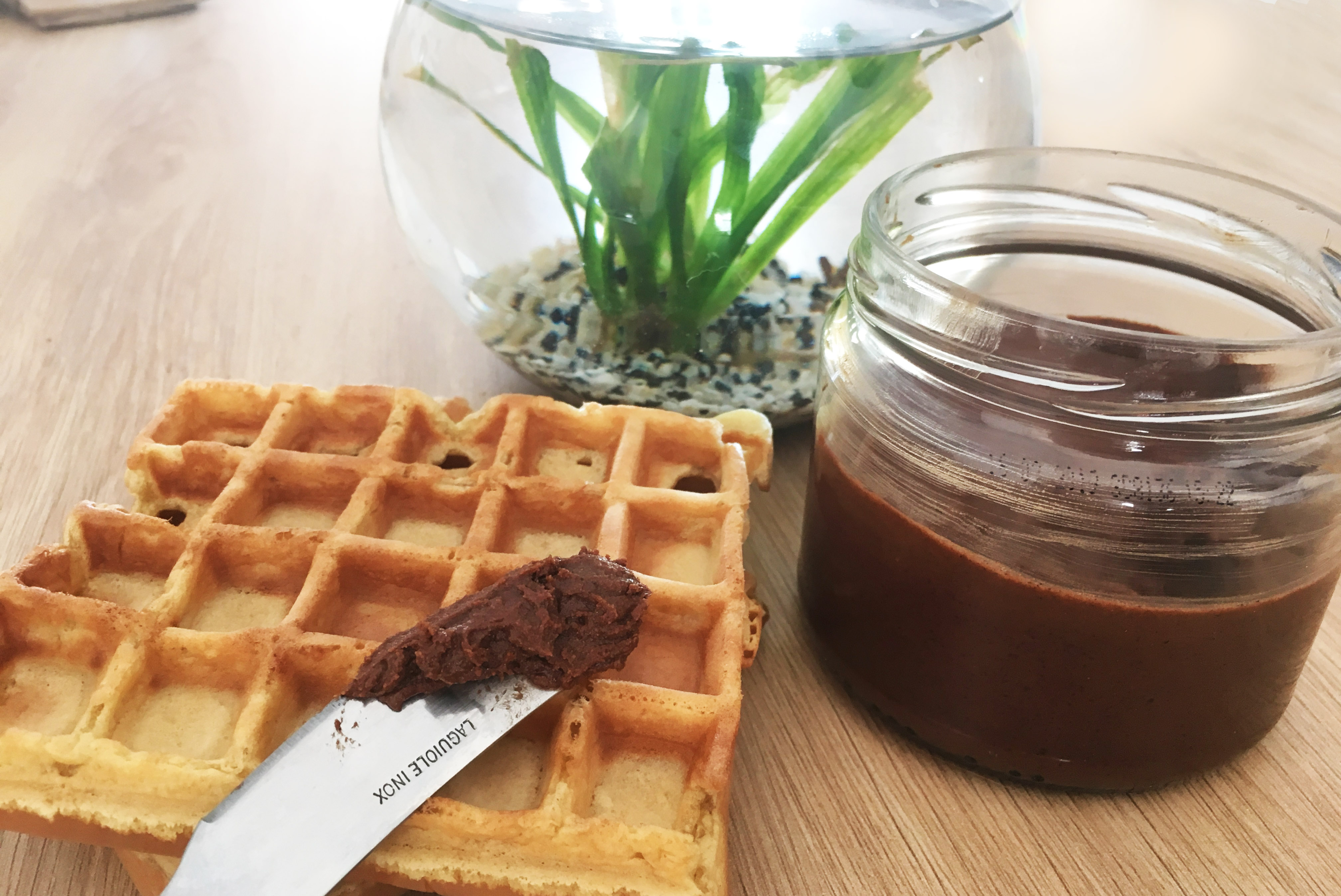 Illustration article faire son nutella maison