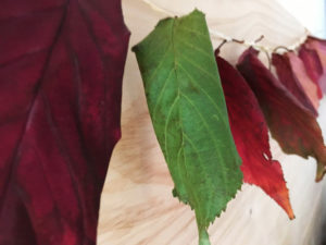 Article guirlande compostable