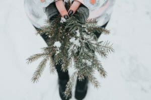 Evénements zéro déchet 1 Sapin de Noel sans sapin