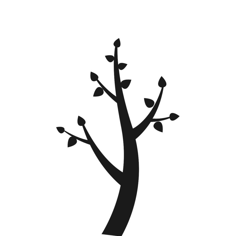 Logo printemps box toute nü