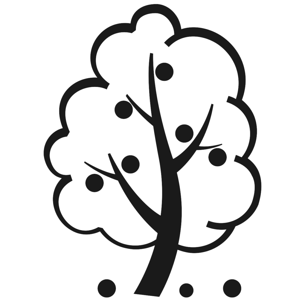 Logo été box toute nü