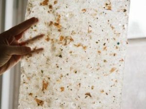 Papier cadeau ensemencé 2