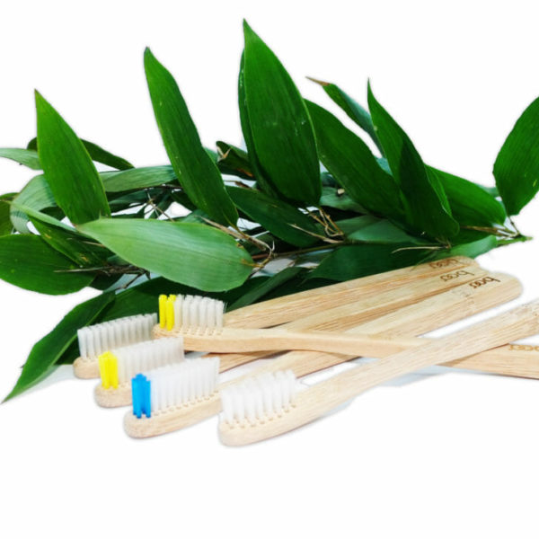 Brosses à dents bambou