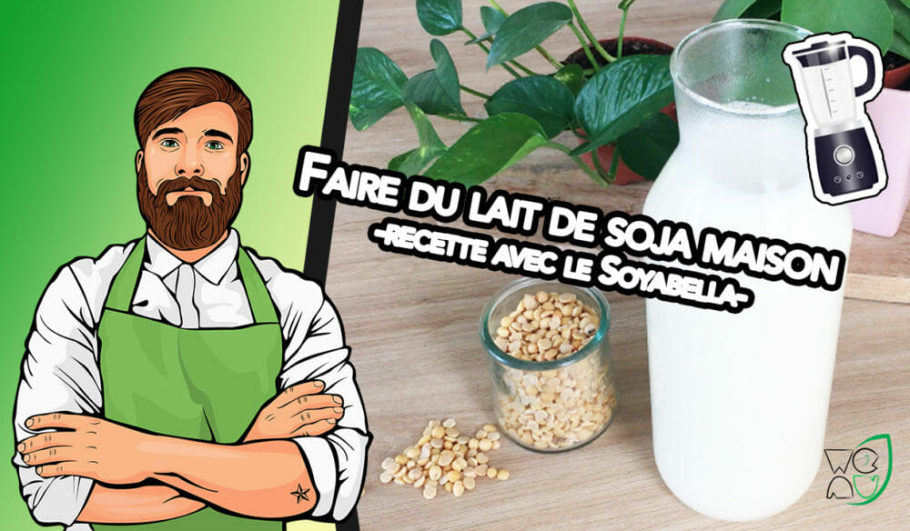 miniature fabriquer son lait de soja maison avec le soyabella