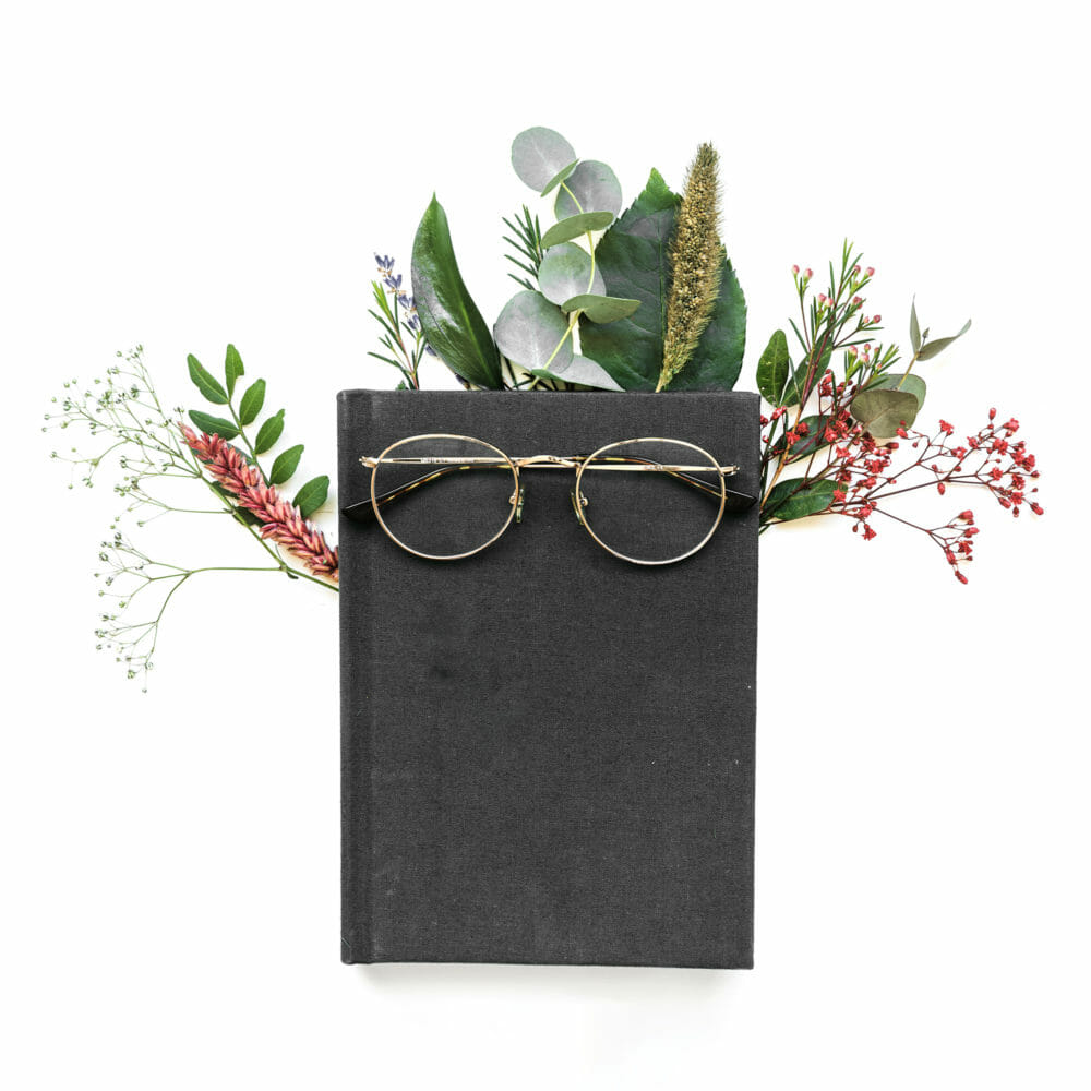 Illustration blog de la boutique zéro déchet