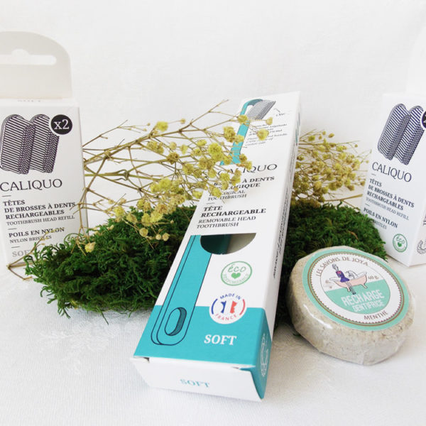 Kit dents solide zéro déchet noël