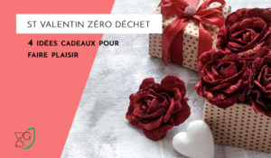 Idée cadeau zéro déchet st valentin miniature